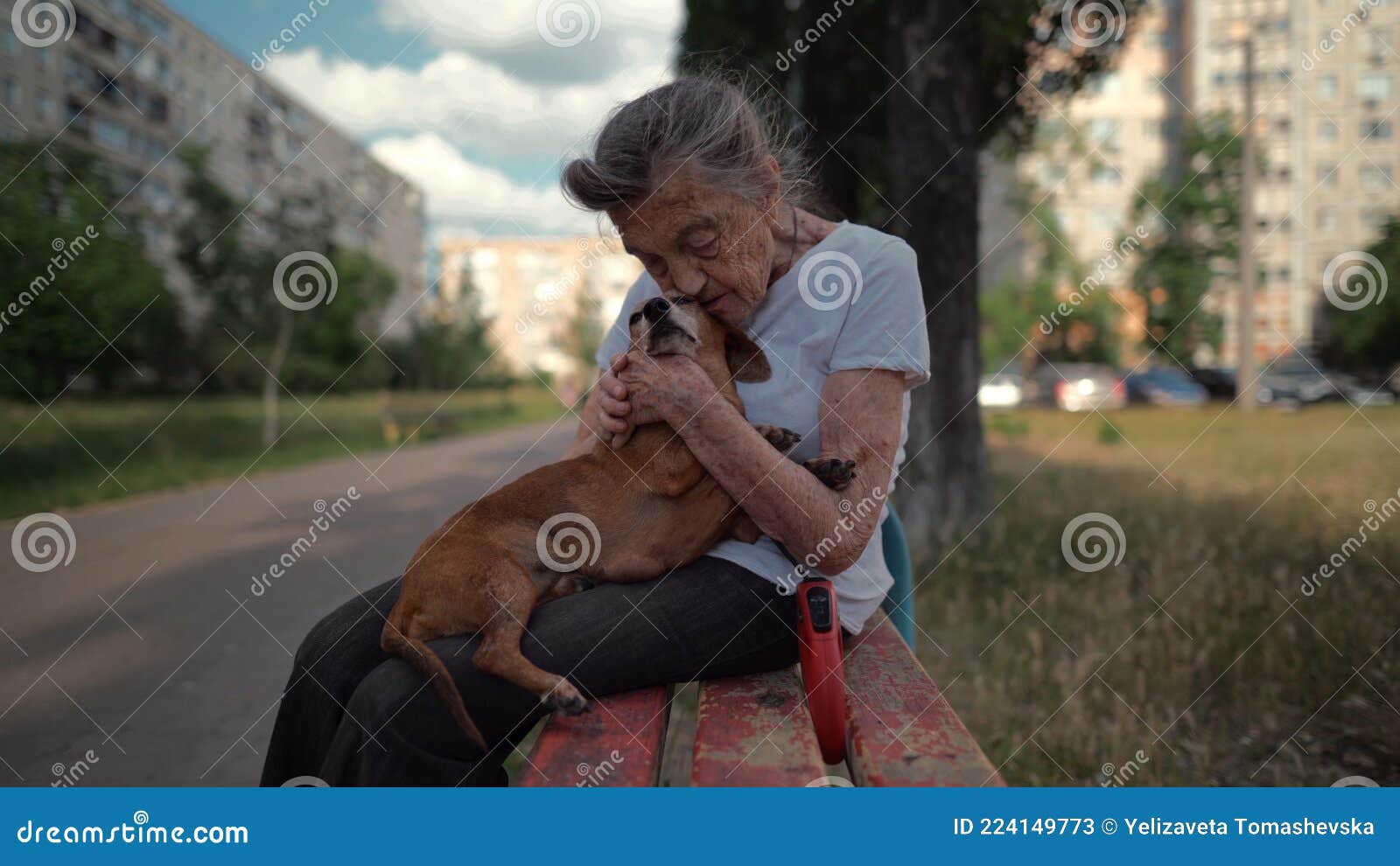 animal theme is a lonely old woman best friend. caucasian 90 years old senior female is happy to spend time with her pet