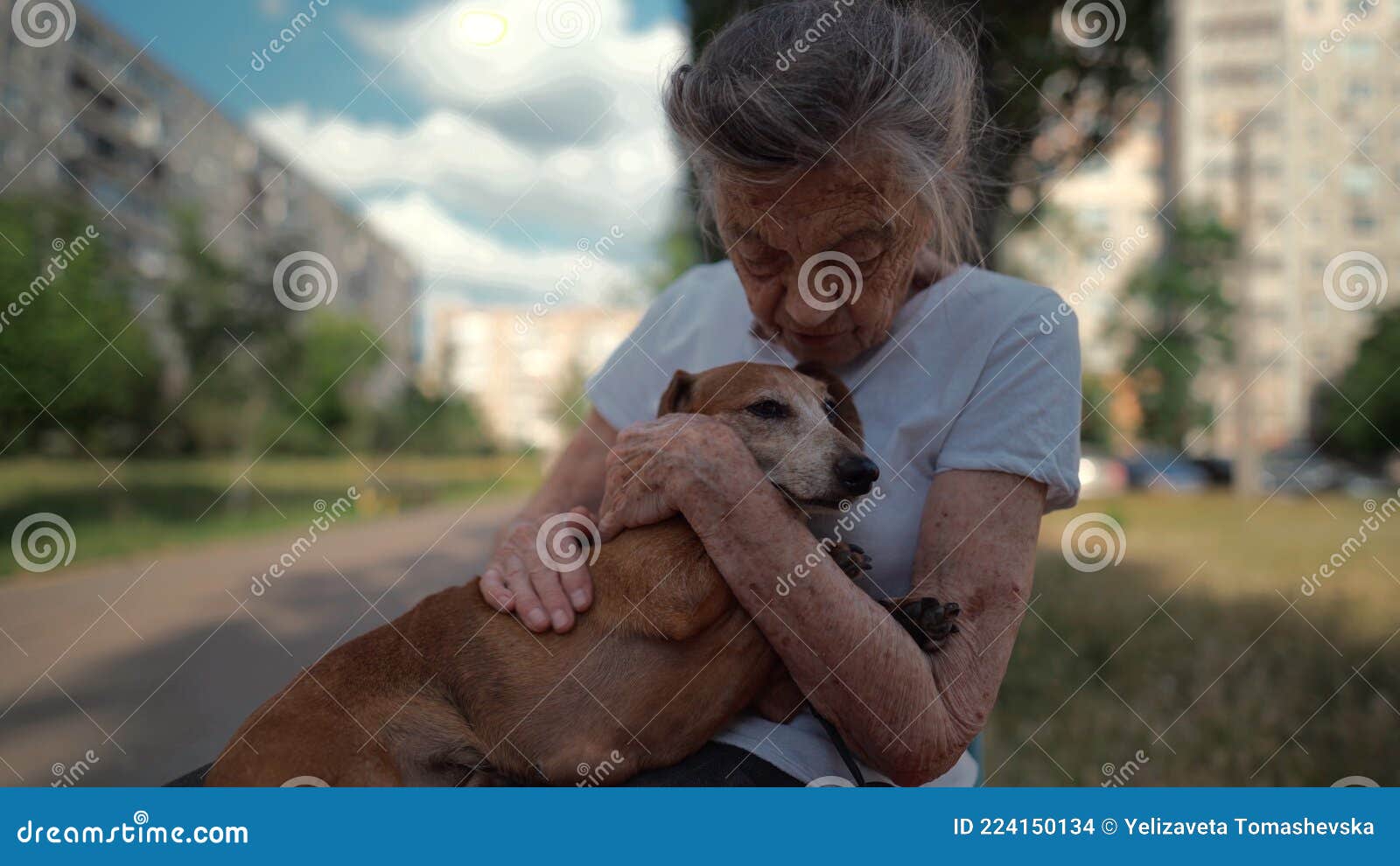 animal theme is a lonely old woman best friend. caucasian 90 years old senior female is happy to spend time with her pet