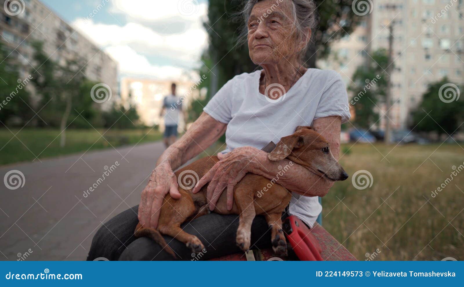 animal theme is a lonely old woman best friend. caucasian 90 years old senior female is happy to spend time with her pet