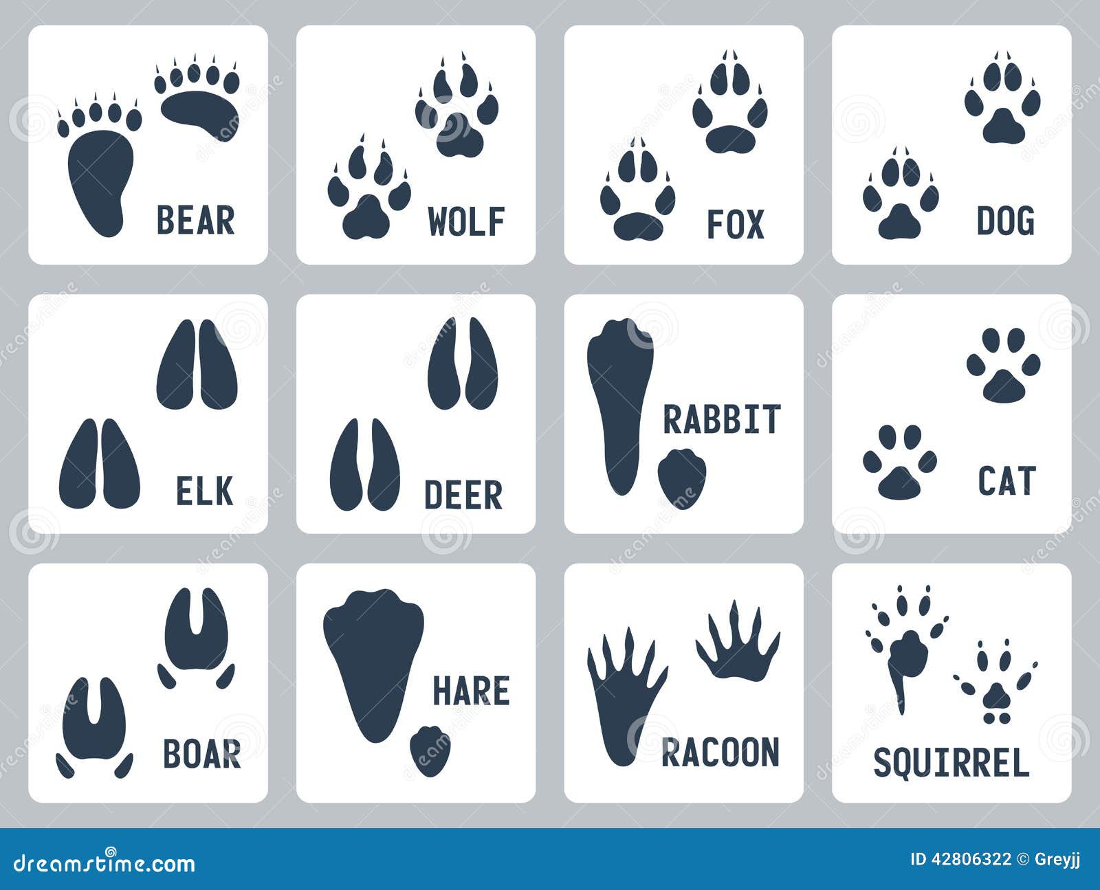 animal tracks  icons