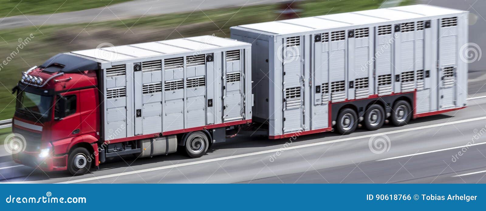 Animal Transporter Truck Speeding on a Highway Stock Photo Image of