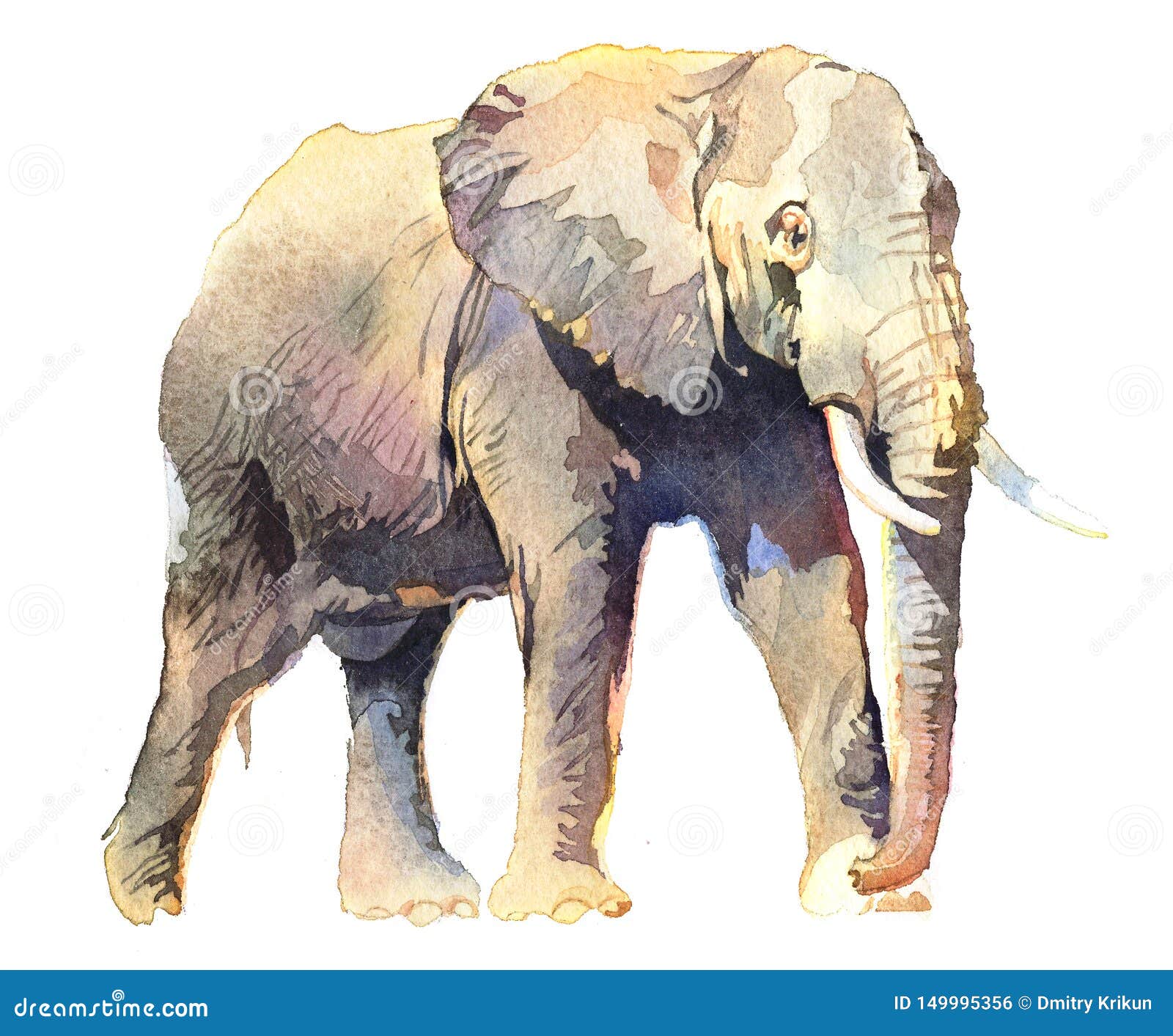 Animal Tropical D Elephant Realiste D Aquarelle D Isolement Sur Un Fond Blanc Illustration Stock Illustration Du Dessin Conception