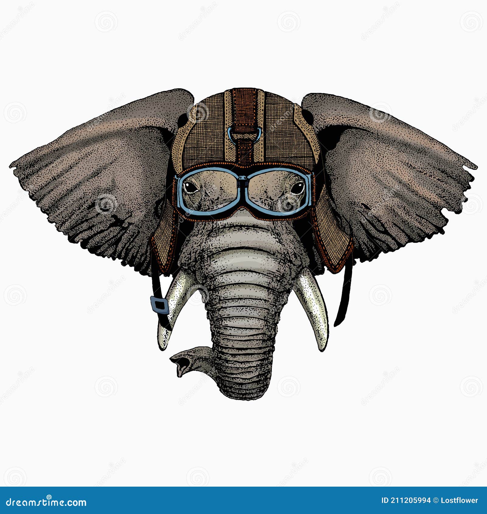 African Elephant Vector Portrait. Animal Face, Head. Stock Vector