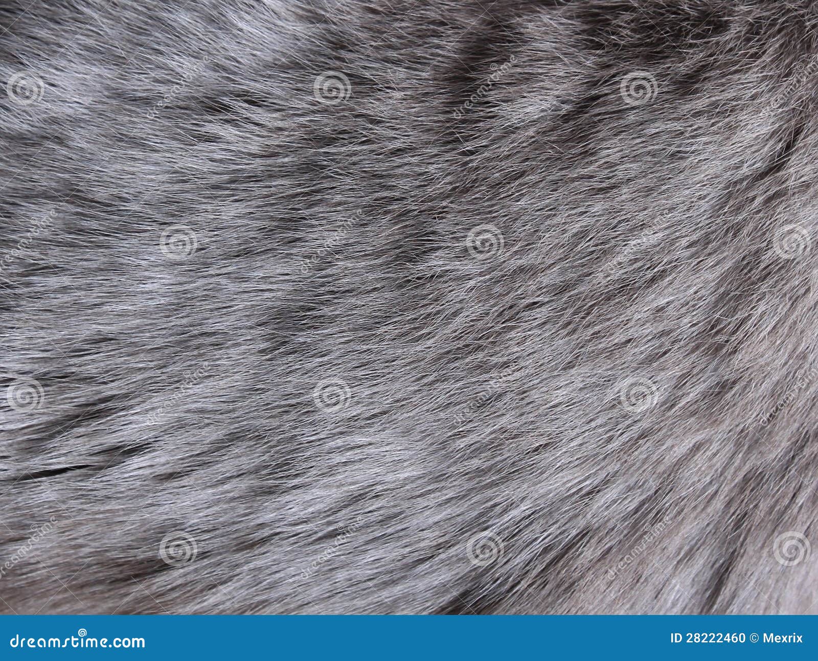 Animal wool stock photo. Image of material, natural, abstract 28222460