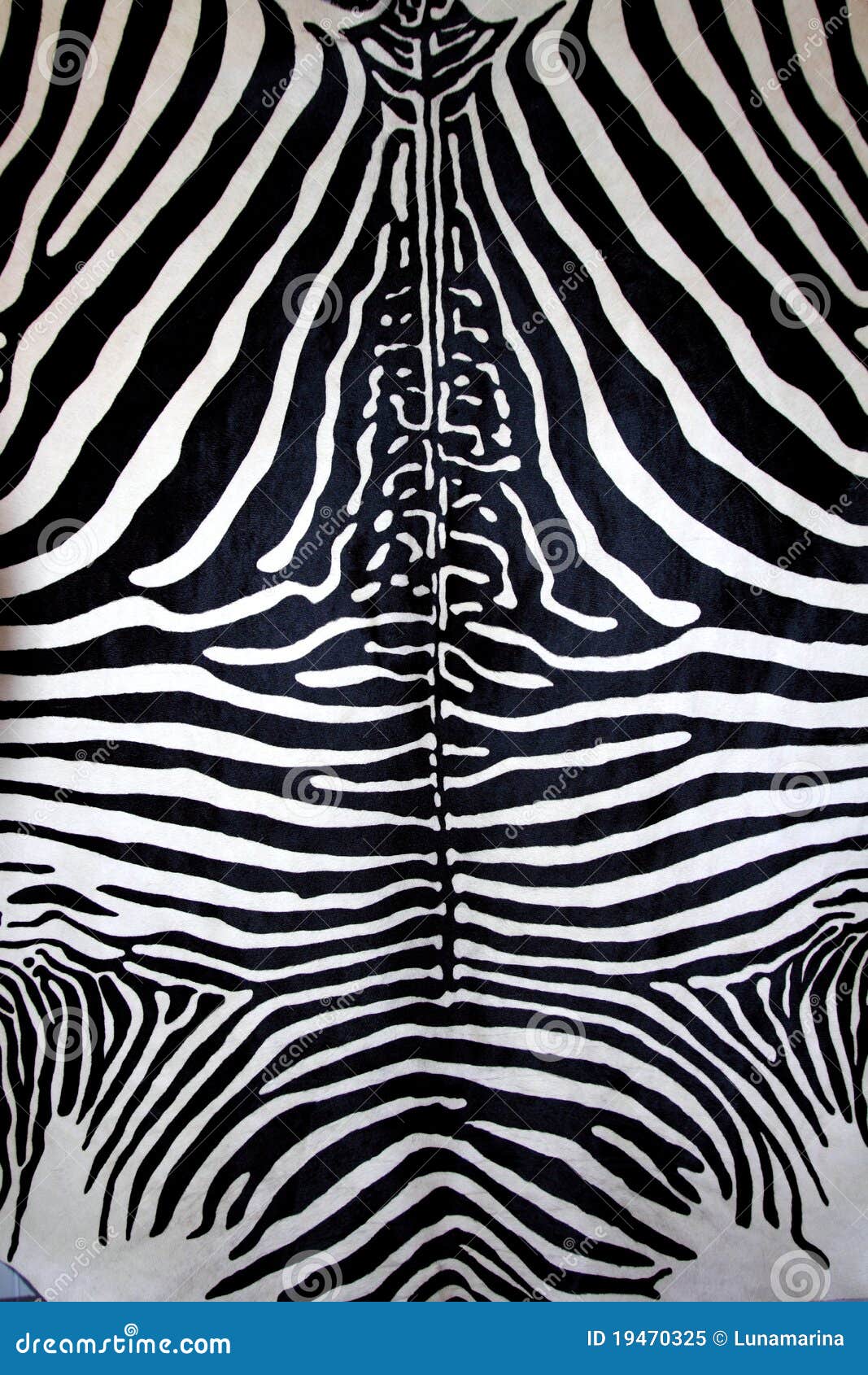 animal zebra skin black and white fur stripes