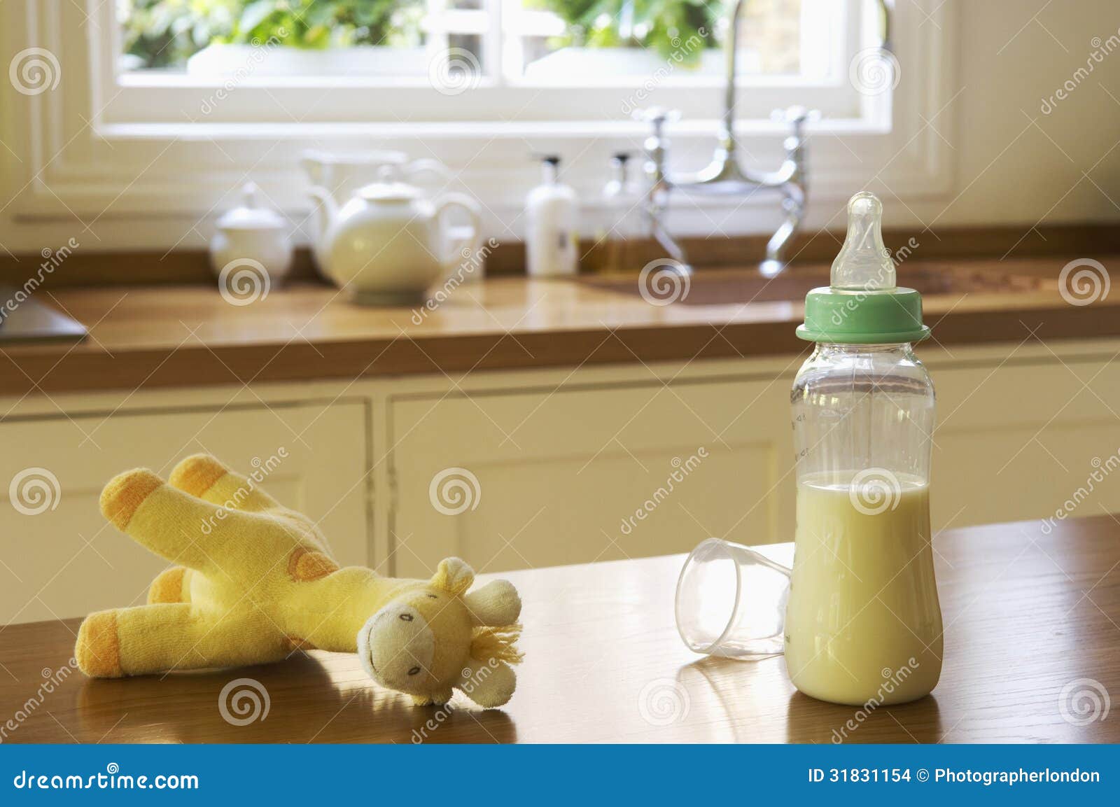 Animale Farcito E Biberon Sul Contatore Di Cucina Fotografia Stock -  Immagine di apparecchiatura, latte: 31831154