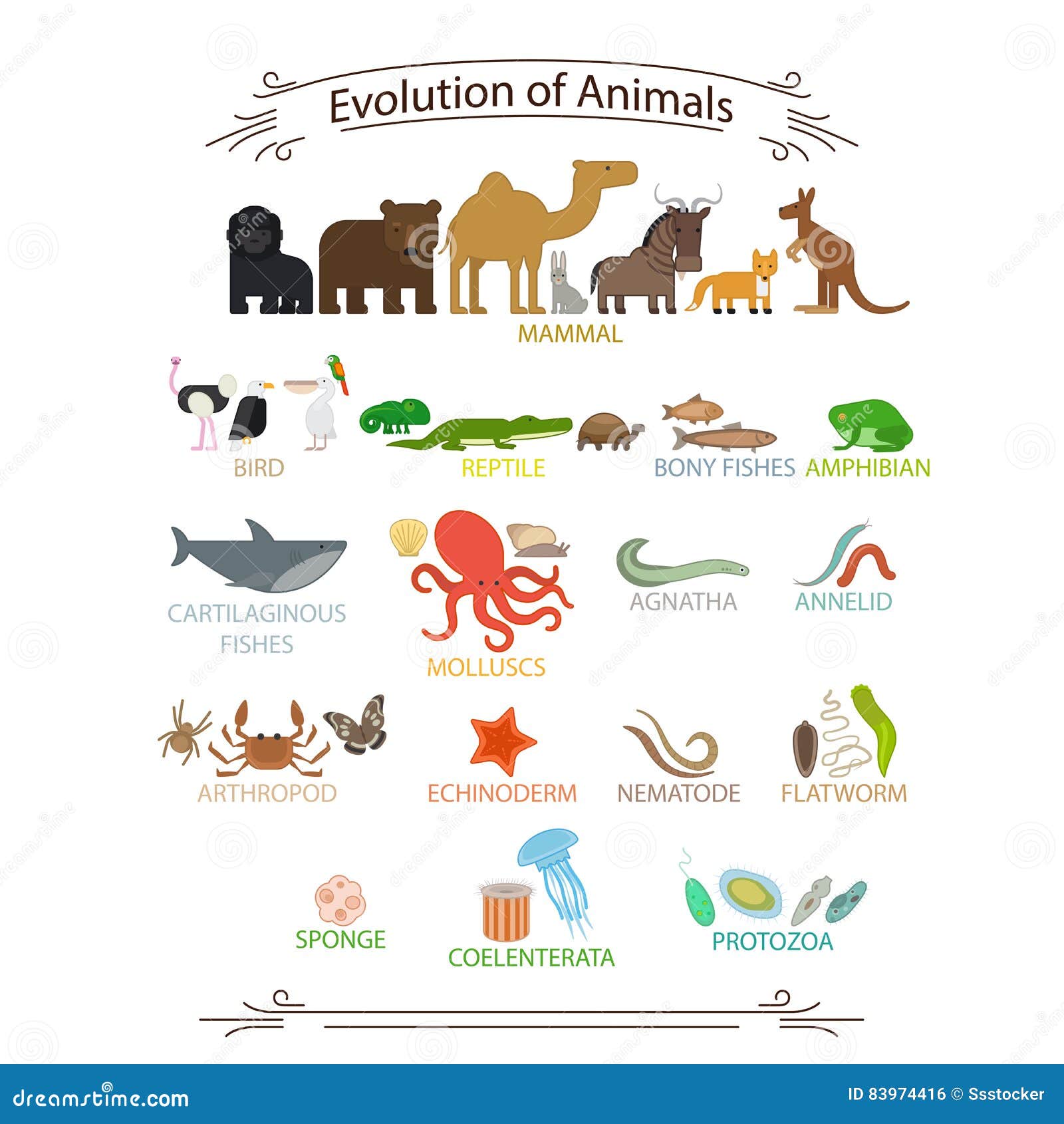 Animales Biológicos De La Evolución Ilustración del Vector - Ilustración de  mono, mariposa: 83974416