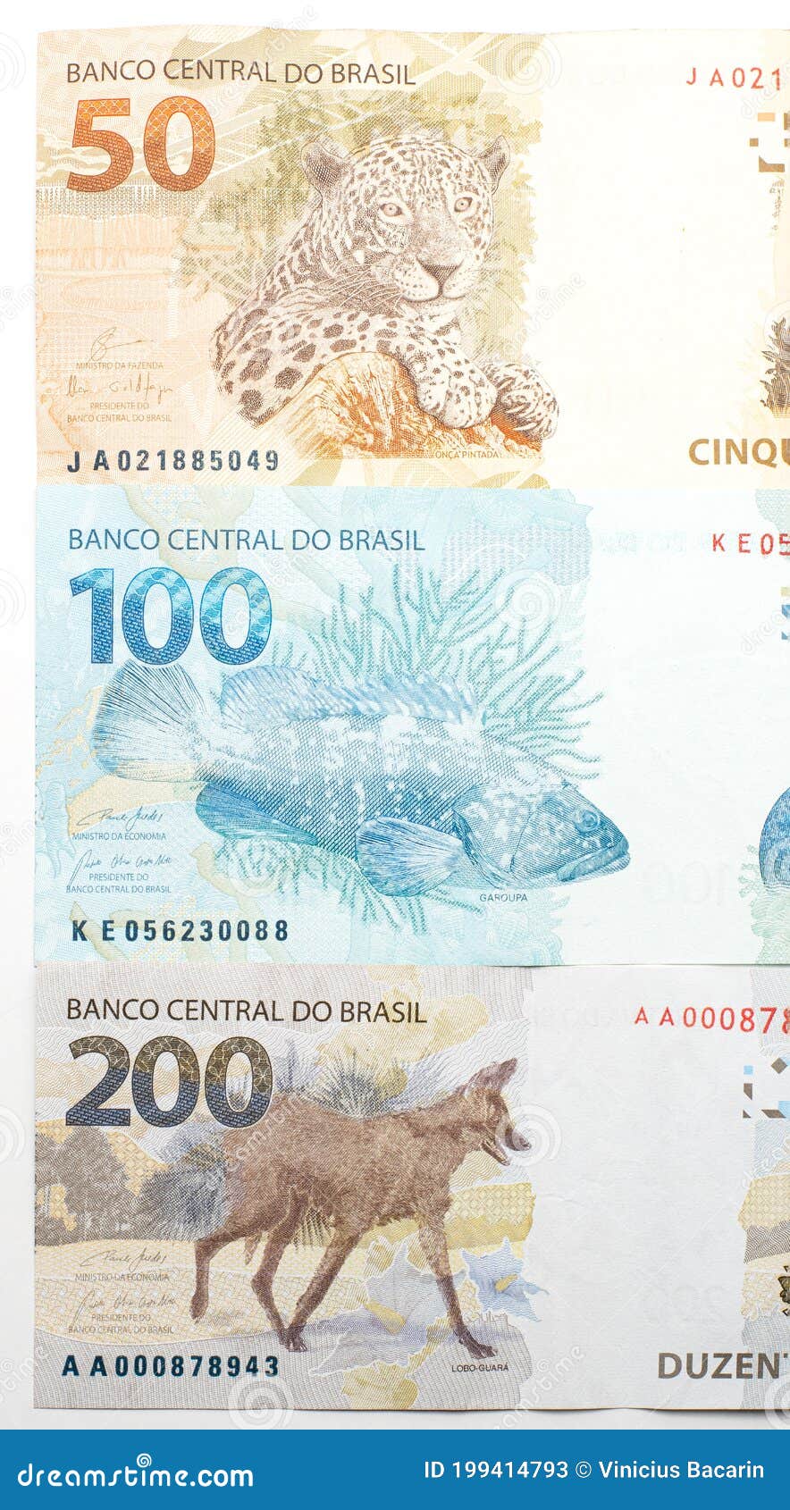 Animales De Los Billetes Brasileños En La Parte Trasera Imagen de archivo - Imagen de negocios, cierre: 199414793 Animales De Los Billetes Brasileños En La Parte Trasera Imagen de archivo - Imagen de negocios, cierre: 199414793