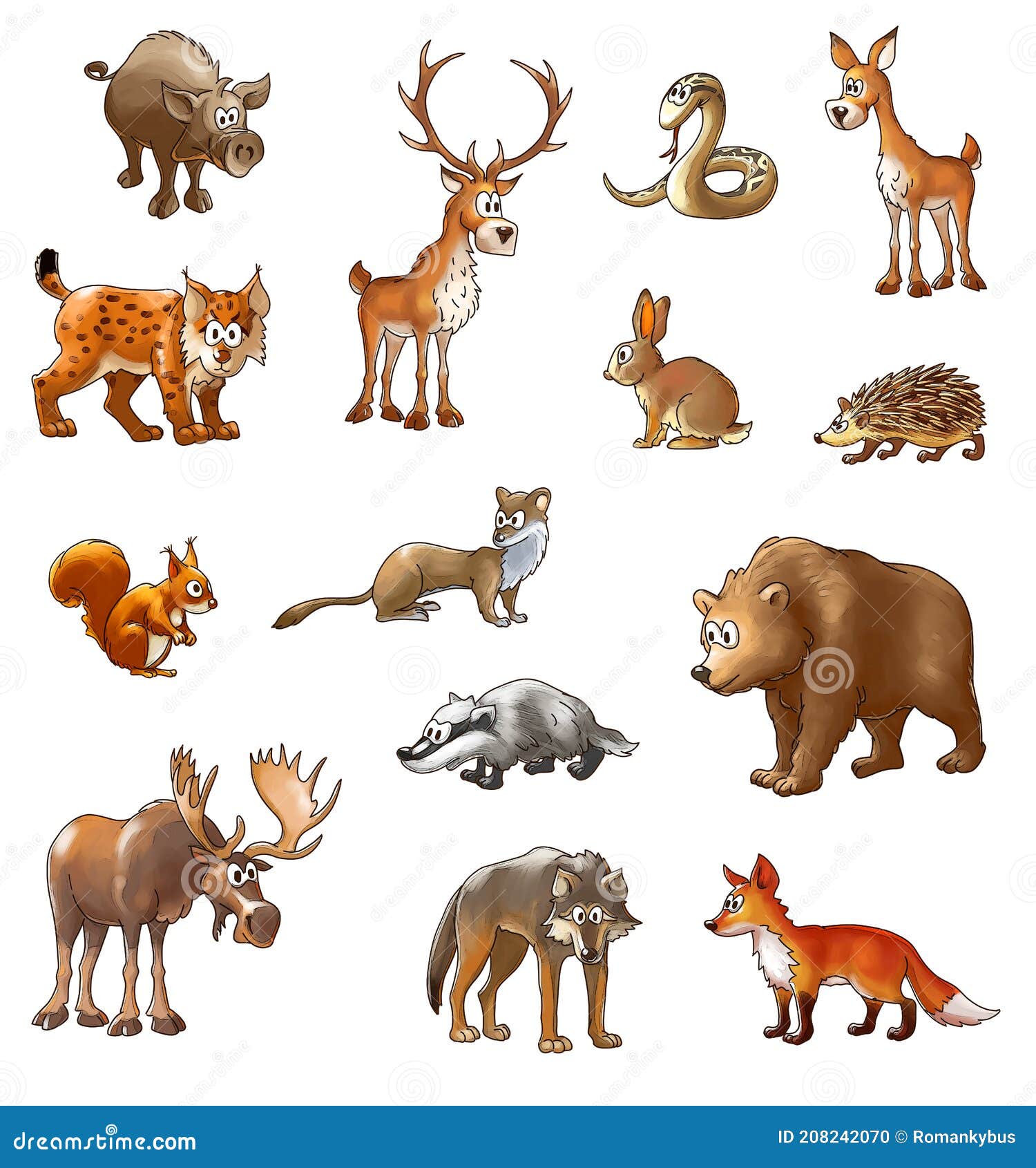 Animales De Madera Salvaje Color Animales De Dibujos Animados Sobre Un  Fondo Blanco Stock de ilustración - Ilustración de erizo, lince: 208242070