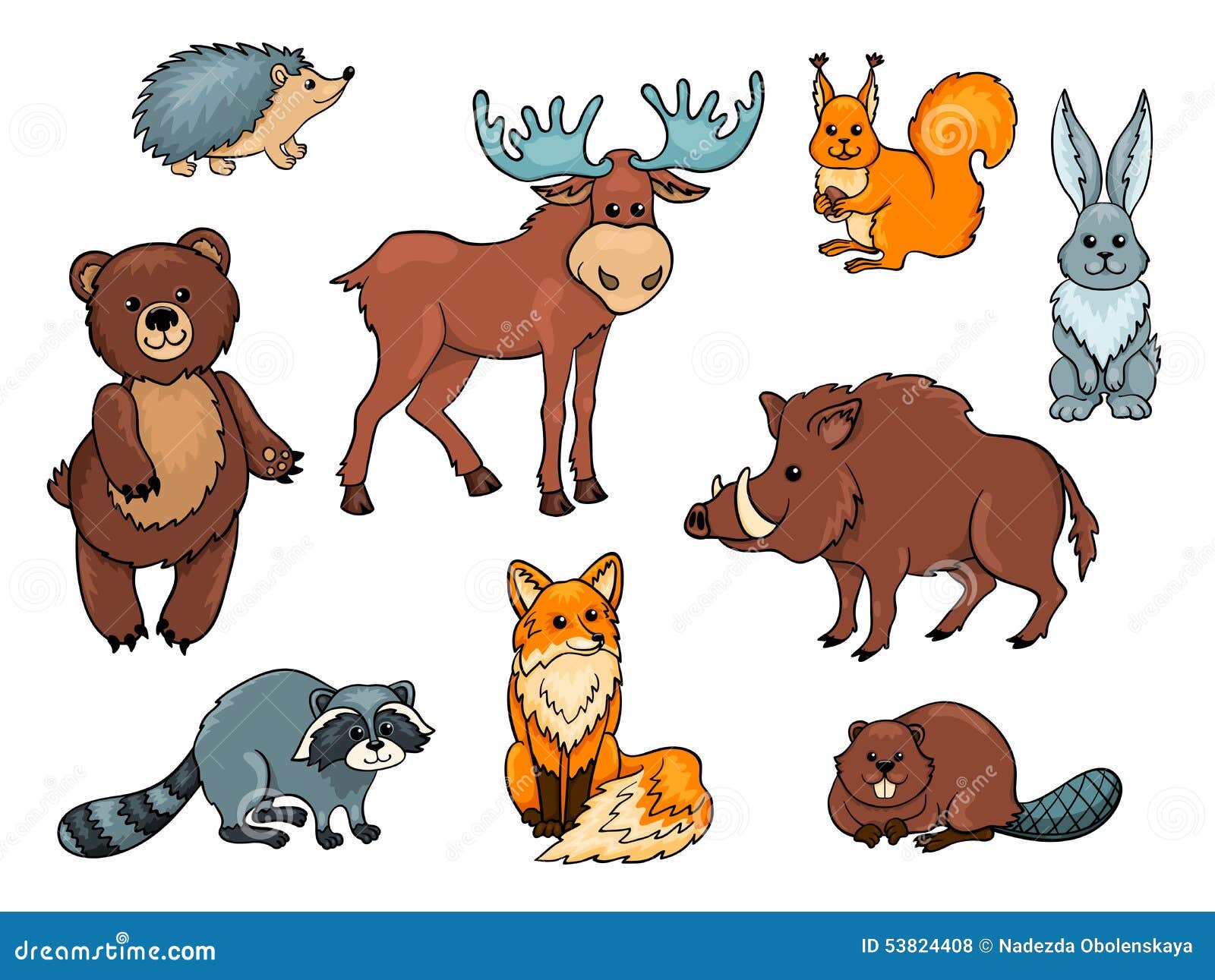 Animales Del Bosque Fijados Ilustracion Del Vector Ilustracion