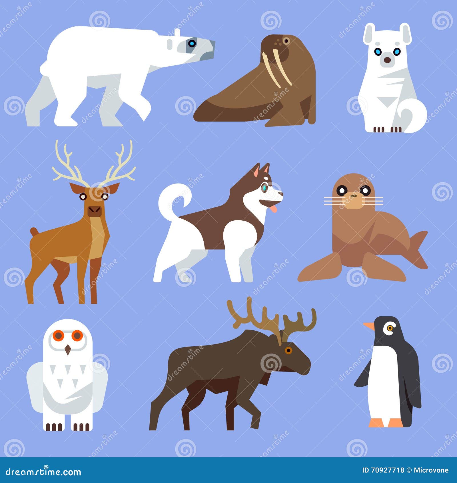 Los Animales Polares Iconos. Pájaros Y Animales Polares Árticas Del Norte  De Vector En Estilo Plano Ilustraciones svg, vectoriales, clip art  vectorizado libre de derechos. Image 54517853