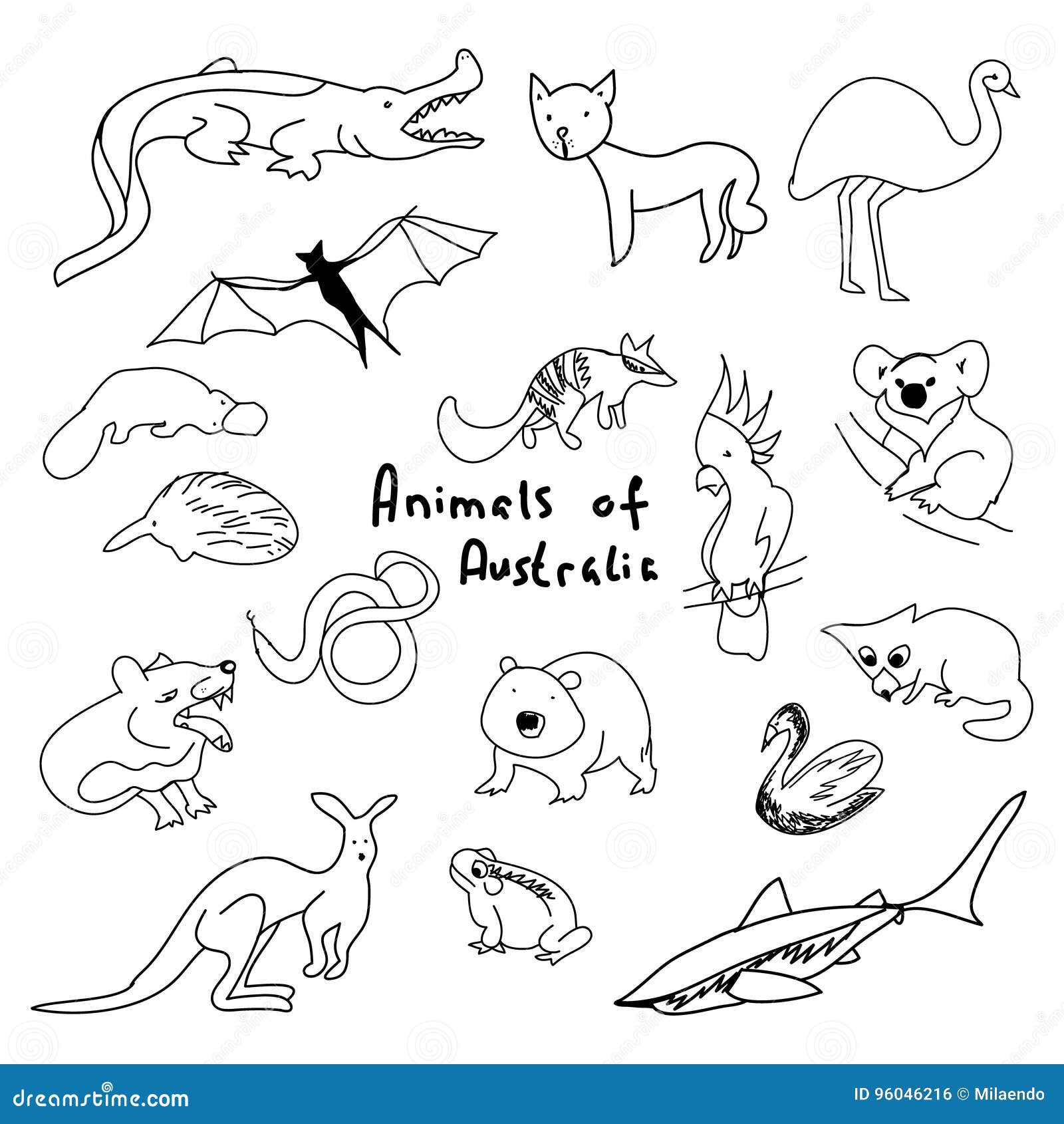 Animali Dell Australia Un Insieme Dei Disegni Semplici Illustrazione Vettoriale Illustrazione Di Divertente Profili