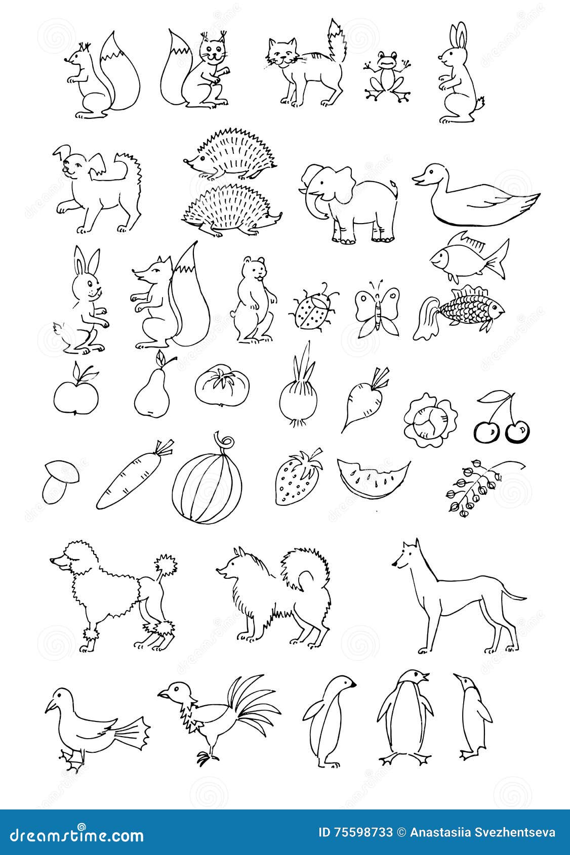Animali Disegnati A Mano Stabiliti Illustrazione Di Stock Illustrazione Di Orso Arte