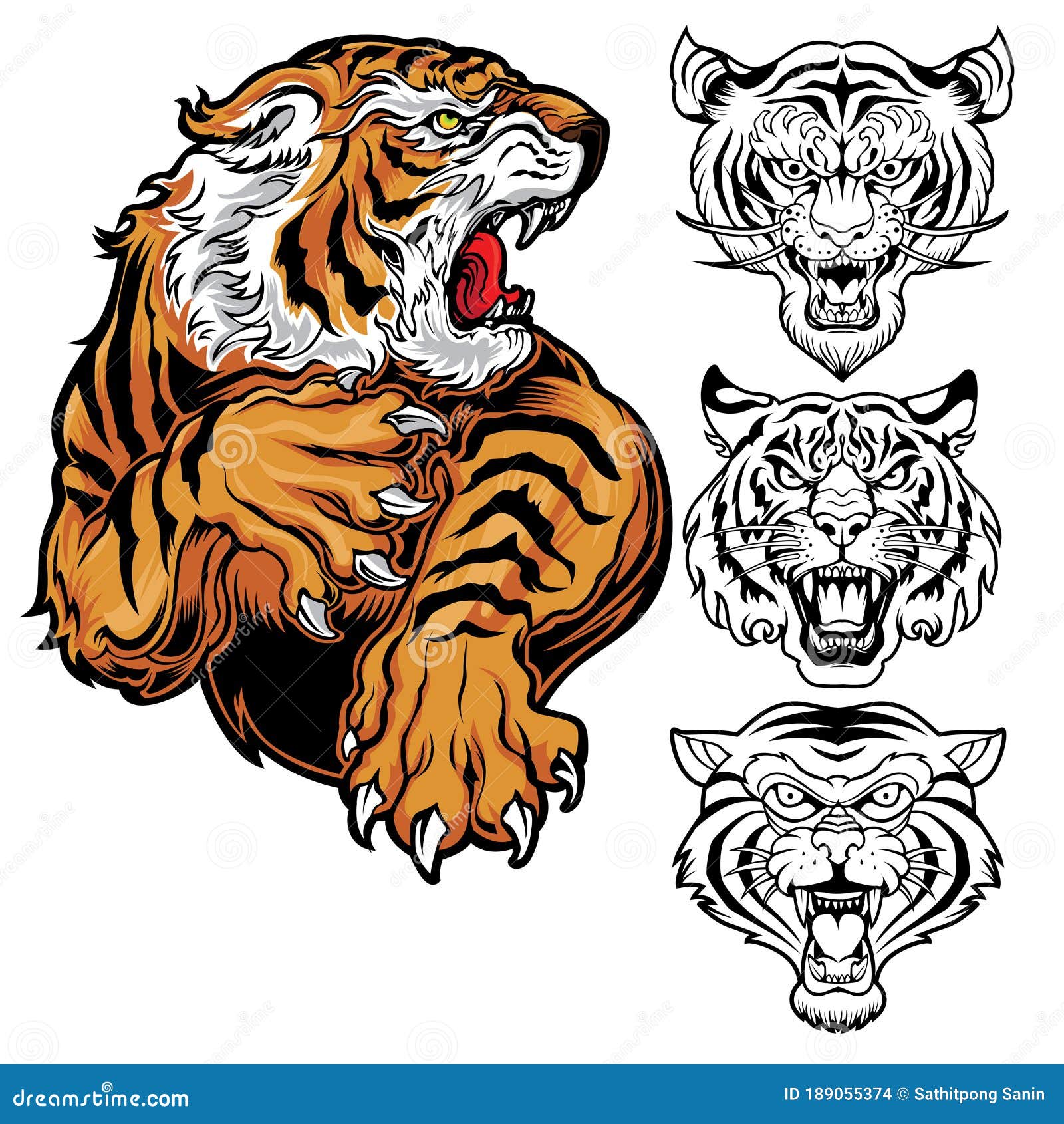 Animals Angry Tiger Drawing Vector Head Tiger Illustration Stock Vector -  Illustration of male, attractive: 189055374