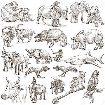 Animals Around the World - an Hand Drawn Pack Stock Illustration ...