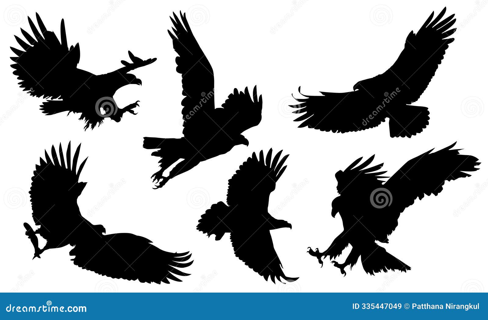 animals eagle hawk bird fly swoop attack silhouette set collection on white background 