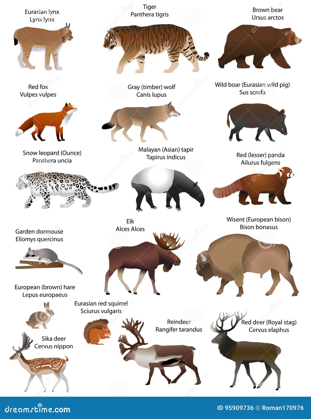 animals of eurasia.