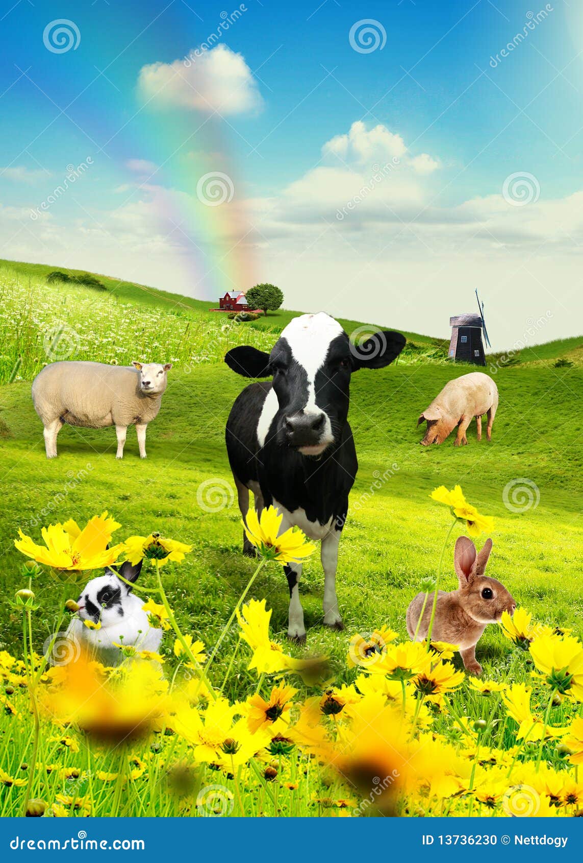 Animals in field 2 stock photo. Image of collage, live - 13736230