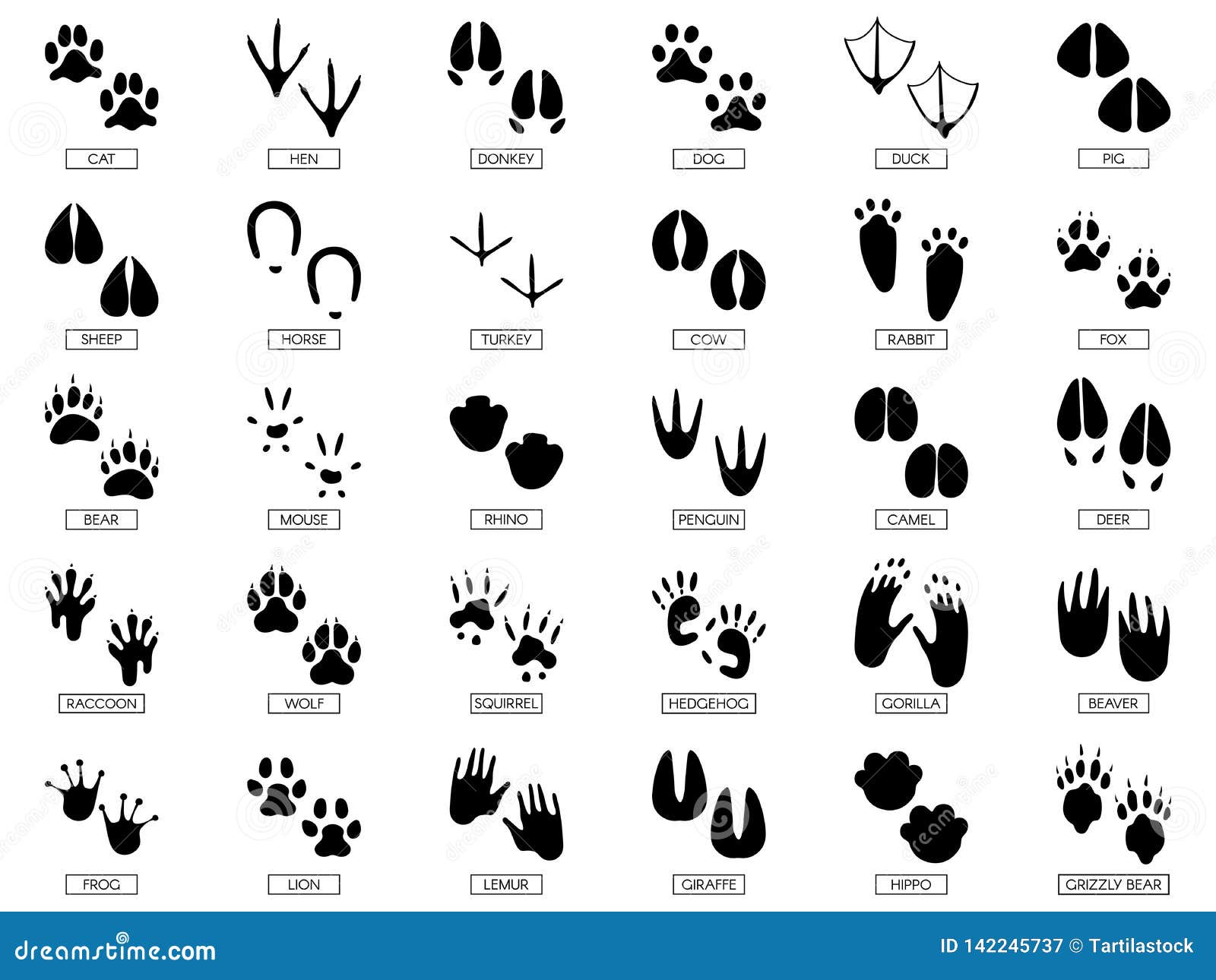 animals footprints. animal feet silhouette, frog footprint and pets foots silhouettes prints   set