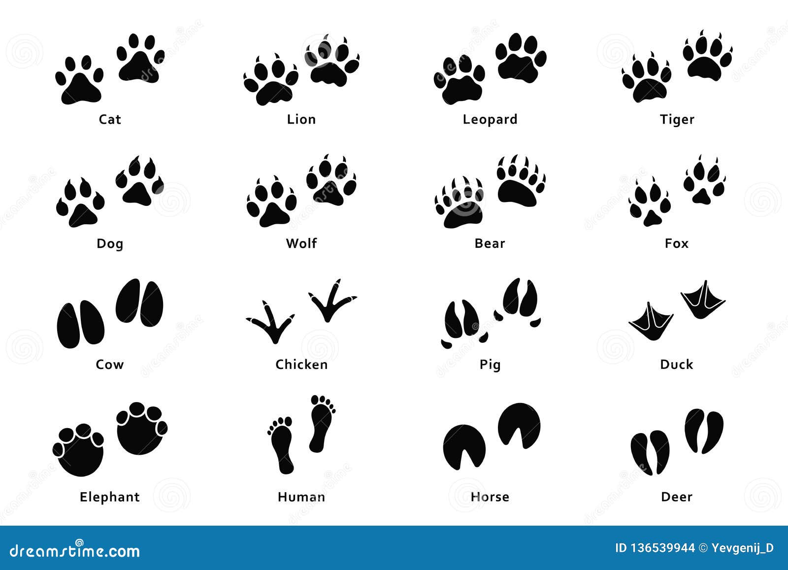 animals footprints, paw prints. set of different animals and birds footprints and traces