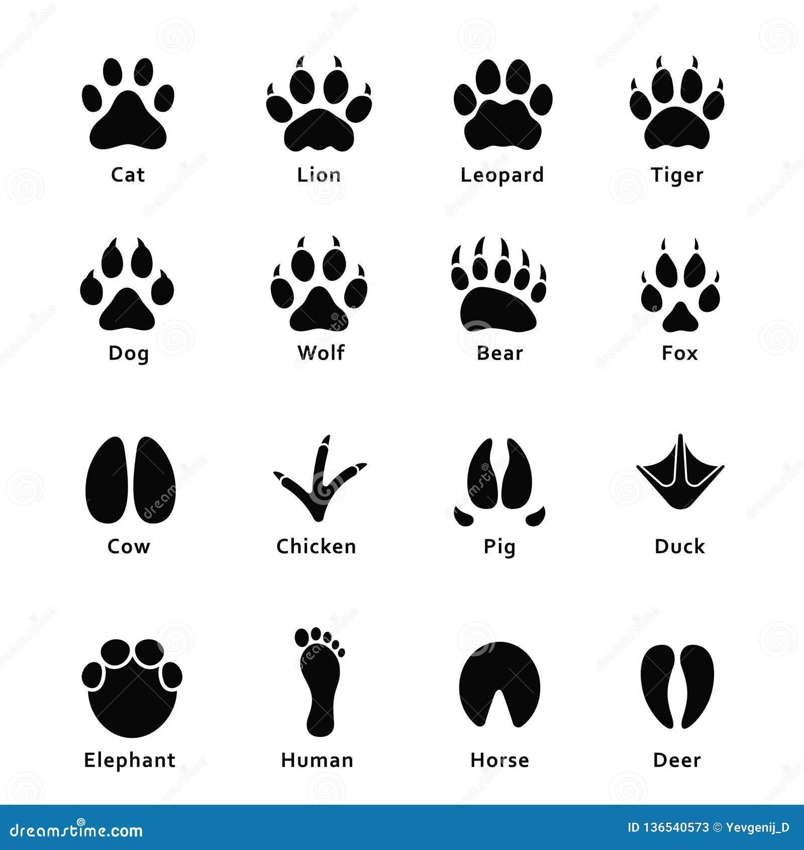 animals-footprints-paw-prints-set-of-different-animals-and-birds