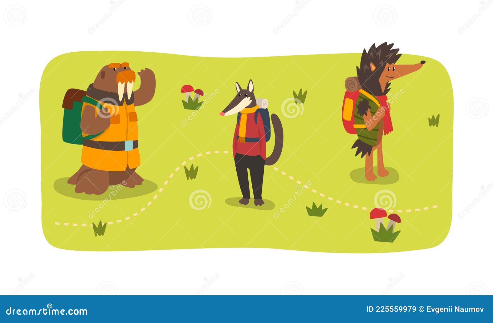 Animals Hiking on Summer Holidays Set, Sea Lion, Badger, Hedgehog Characters  Camping, Hiking Vector Illustration Stock Vector - Illustration of tent,  tourism: 225559979
