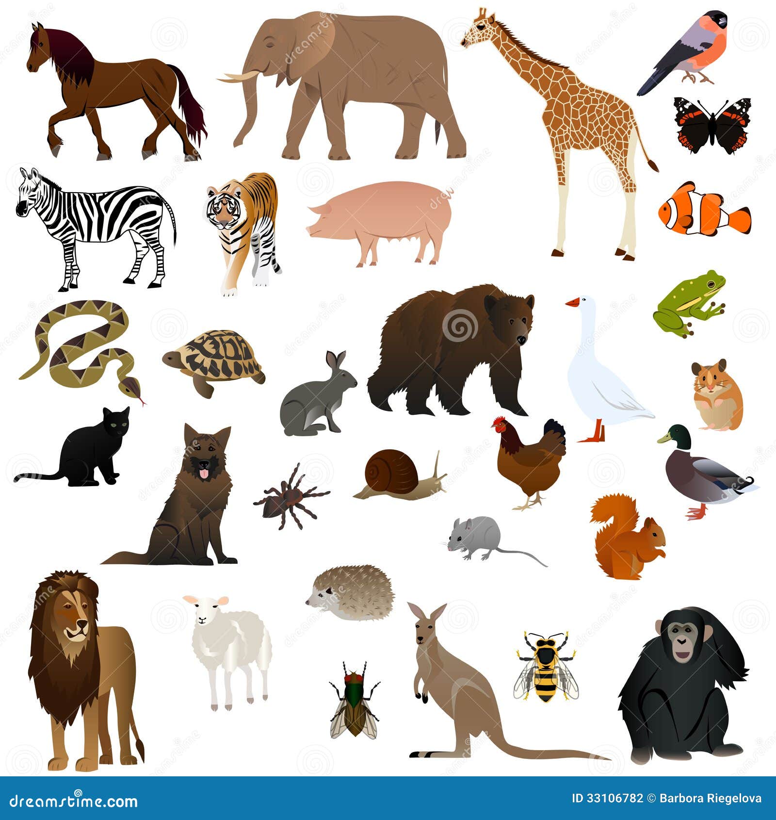 Animals 2 stock illustration. Illustration of duck, snail - 33106782 Animals 2 stock illustration. Illustration of duck, snail - 33106782