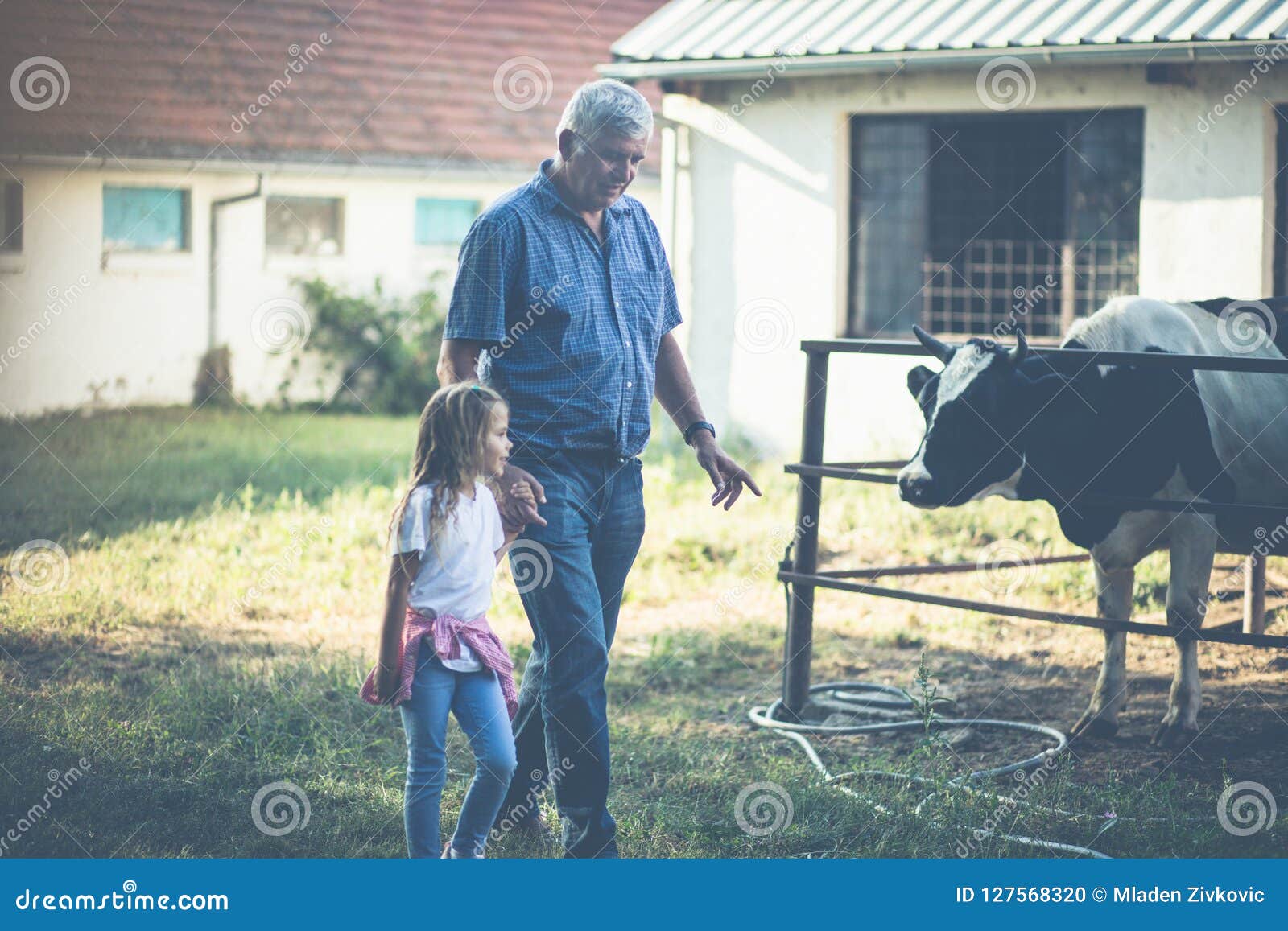 Animals are Important for Human Life. Stock Photo - Image of grandfather,  male: 127568320