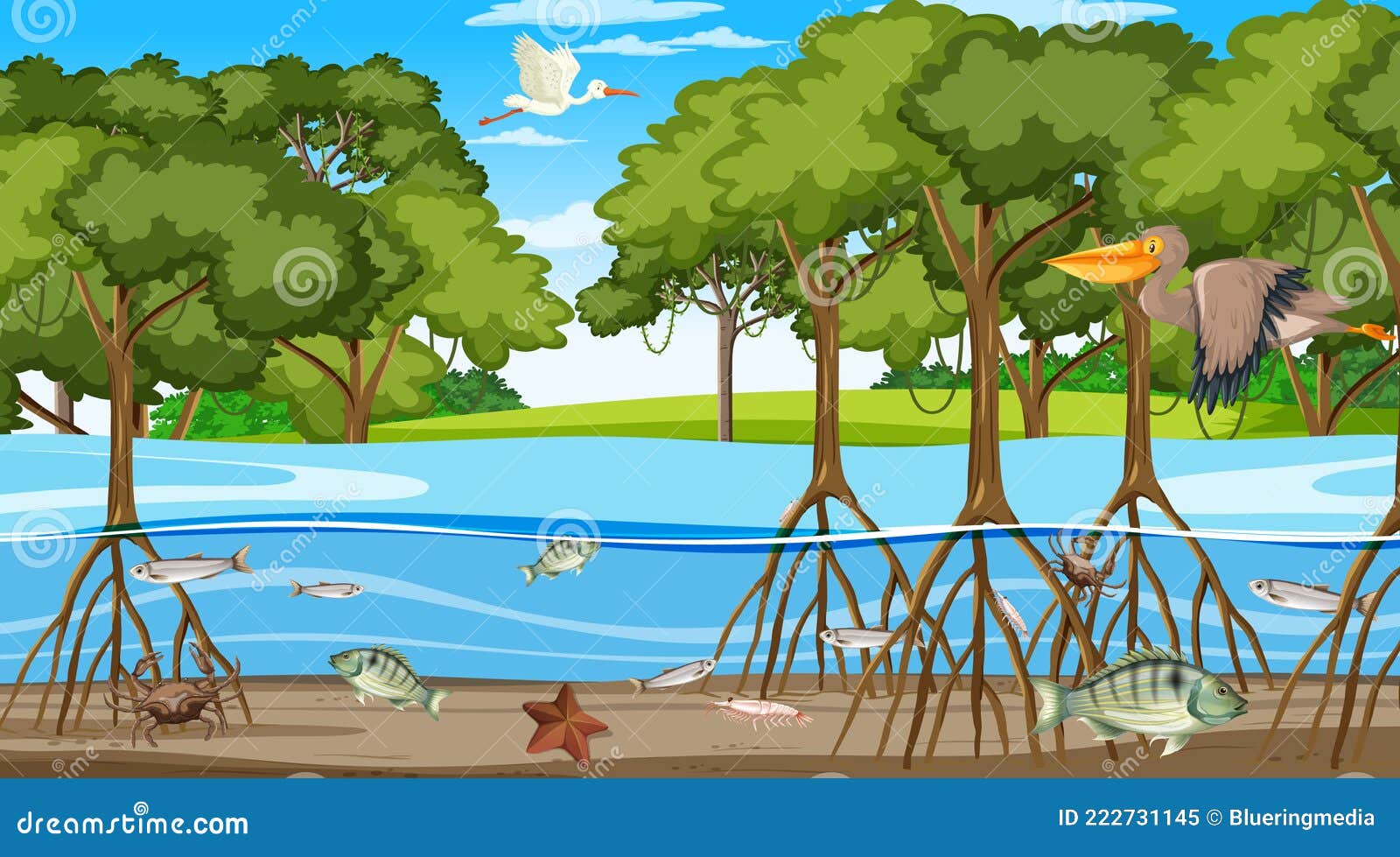 Animals Live in Mangrove Forest at Daytime Scene Stock Vector -  Illustration of color, background: 222731145
