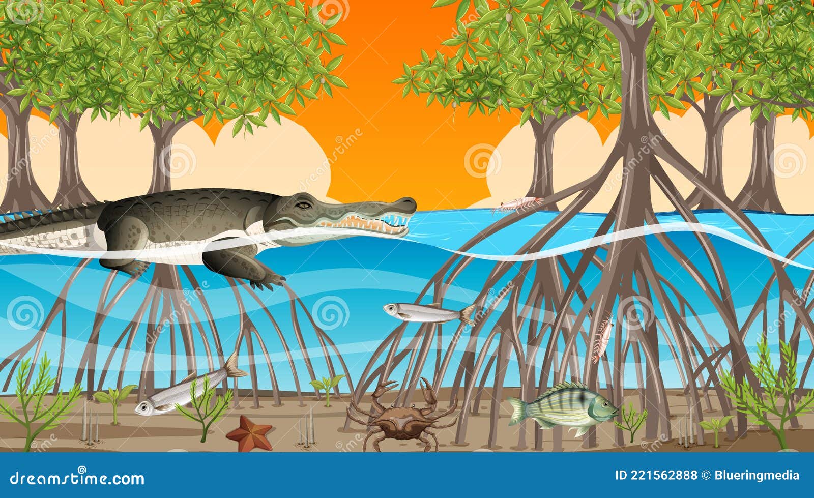 Animals Live in Mangrove Forest at Sunset Time Scene Stock Vector -  Illustration of fresh, outdoor: 221562888