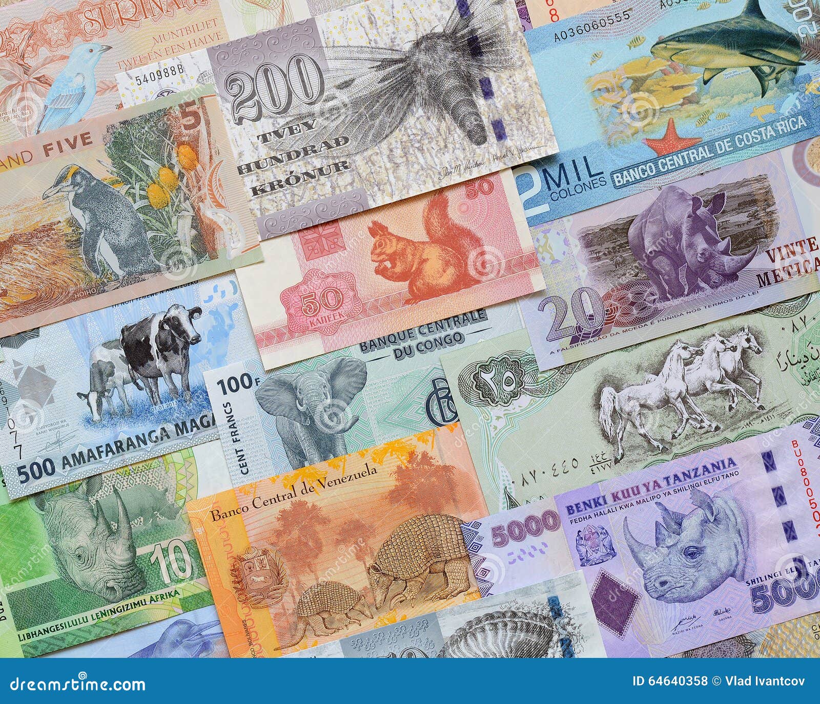 Animals on money. stock photo. Image of themes, background 64640358