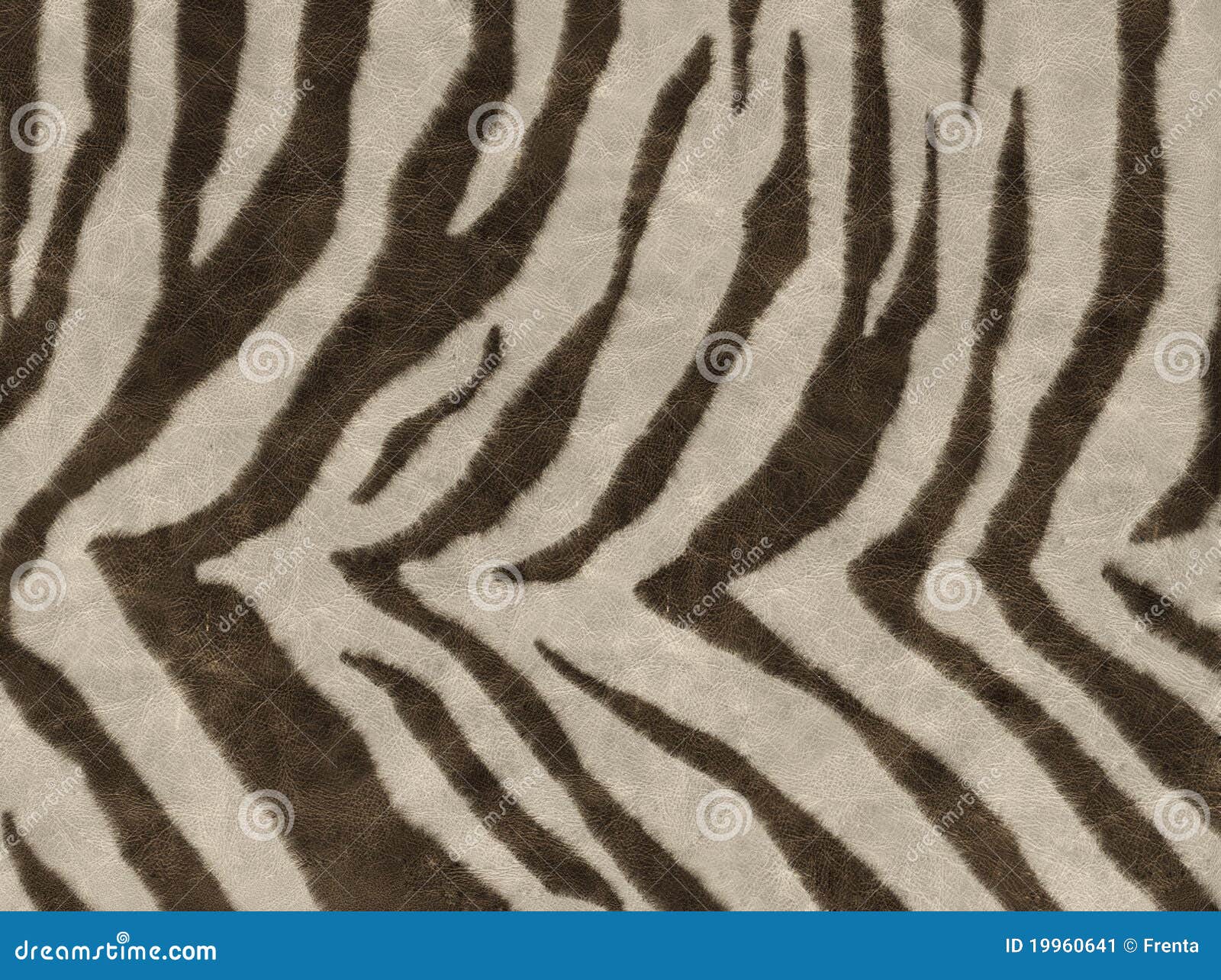 Animals skins textures. African animal zebra skin texture