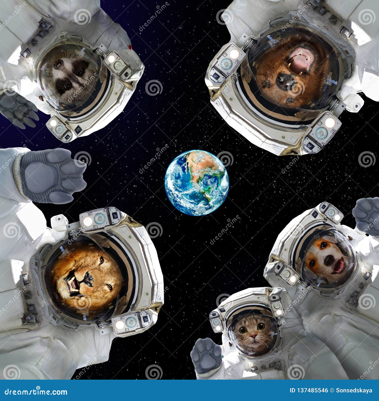 Animals in Space Suits in Space on the Background of the Planet Earth Stock  Illustration - Illustration of created, curious: 137485546