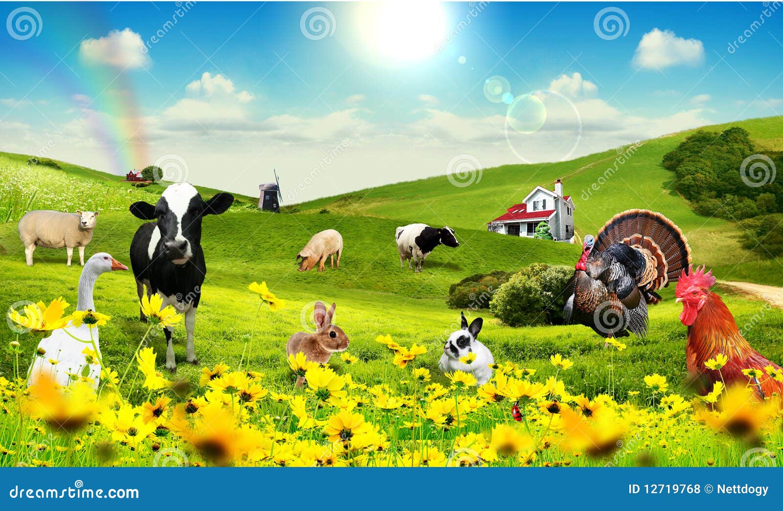 Animals in village stock illustration. Illustration of paintings - 12719768