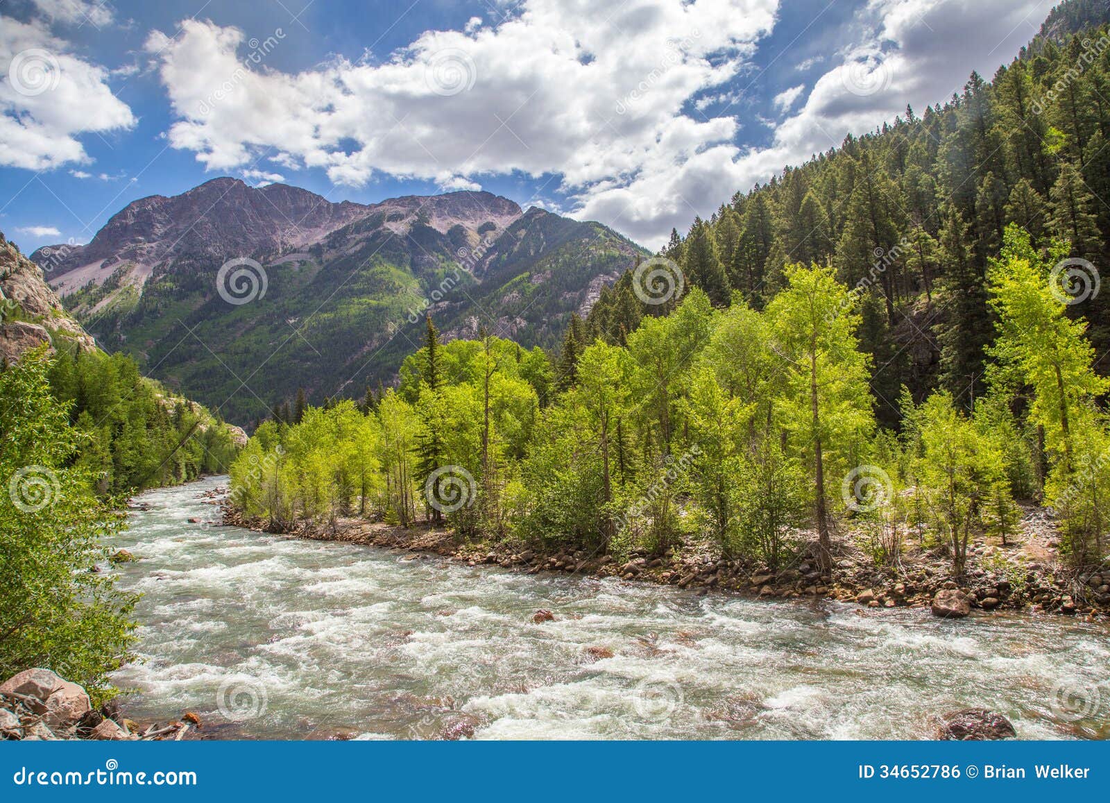 Animas River in Colorado stock photo. Image of colorado 34652786