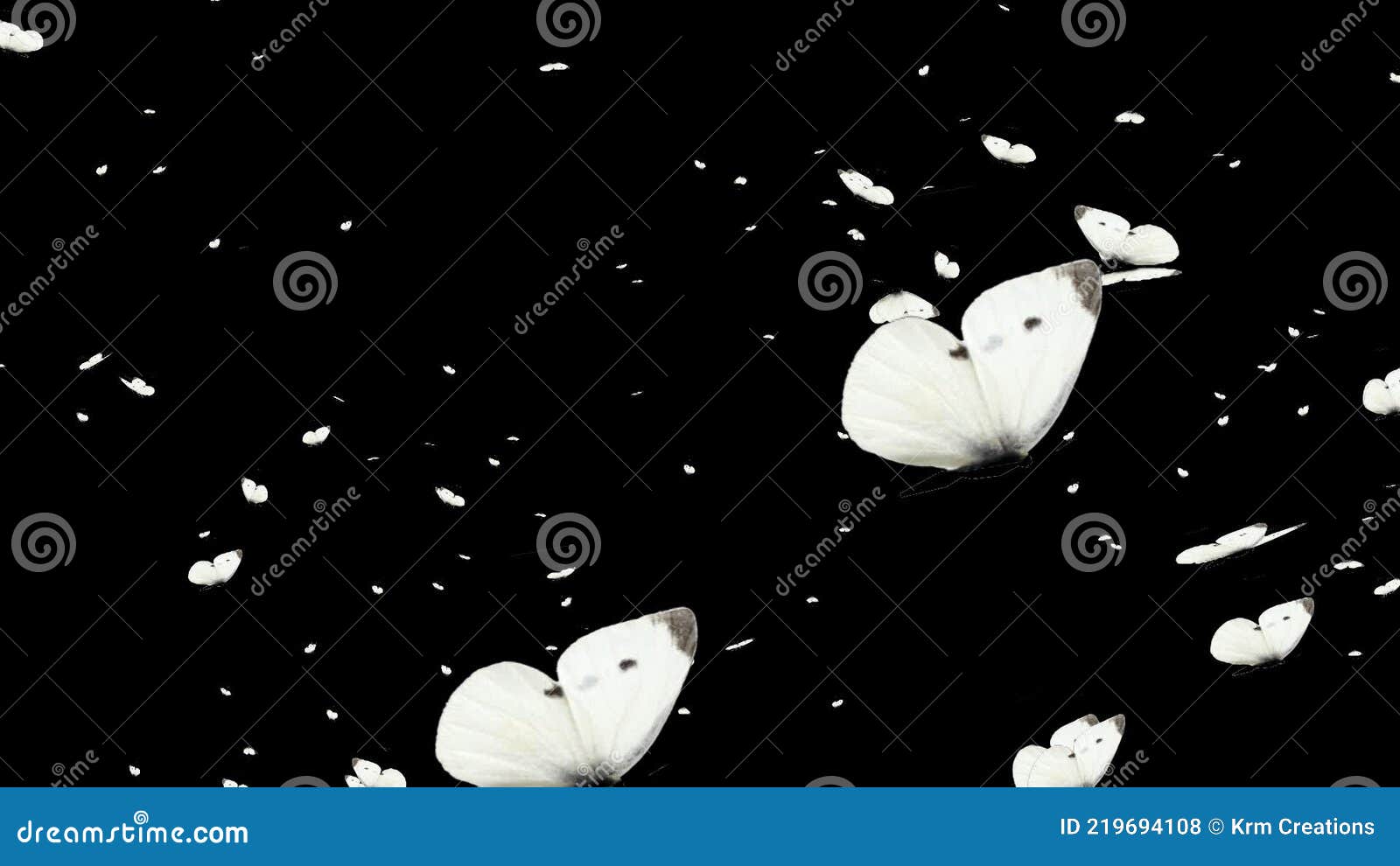 White Color Butterflies Flight Transparent Background Videos 02 Stock  Footage - Video of fishes, transparent: 219694108