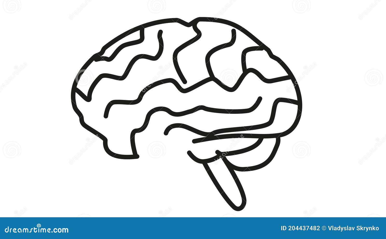 Animated Icon of the Human Brain Stock Footage - Video of creativity,  intelligence: 204437482