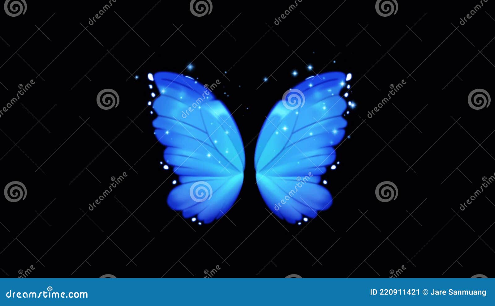 Animation Blue Butterfly Wing on Black Background. Stock Video - Video of  garden, classic: 220911421