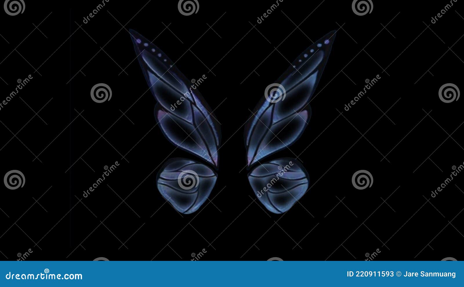 Animation Blue Butterfly Wing on Black Background. Stock Video - Video of  insect, flora: 220911593