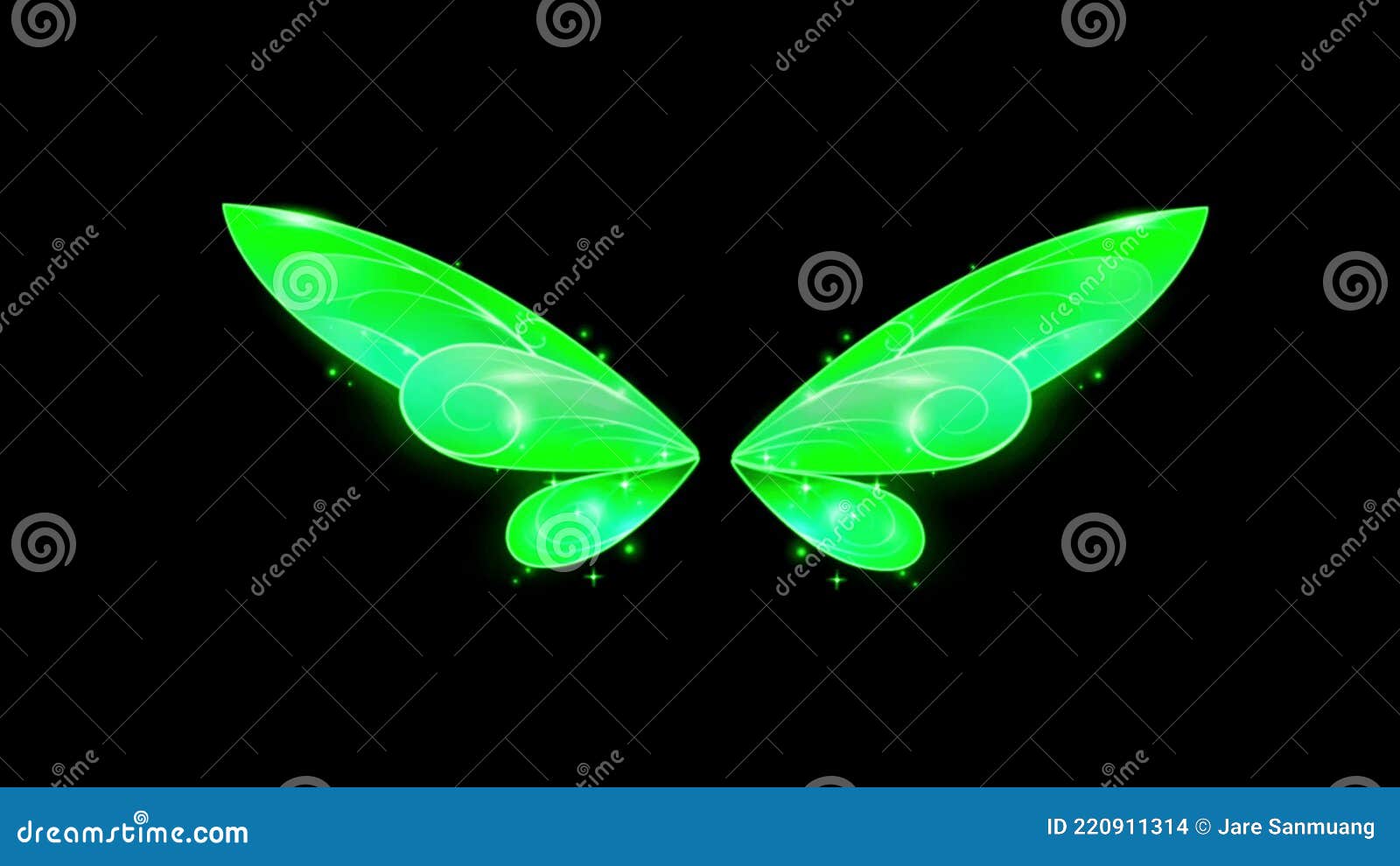 Animation Green Butterfly Wing on Black Background. Stock Footage - Video  of classic, green: 220911314