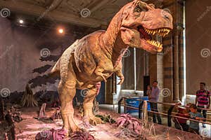 Natural History Museum London Dinosaurs