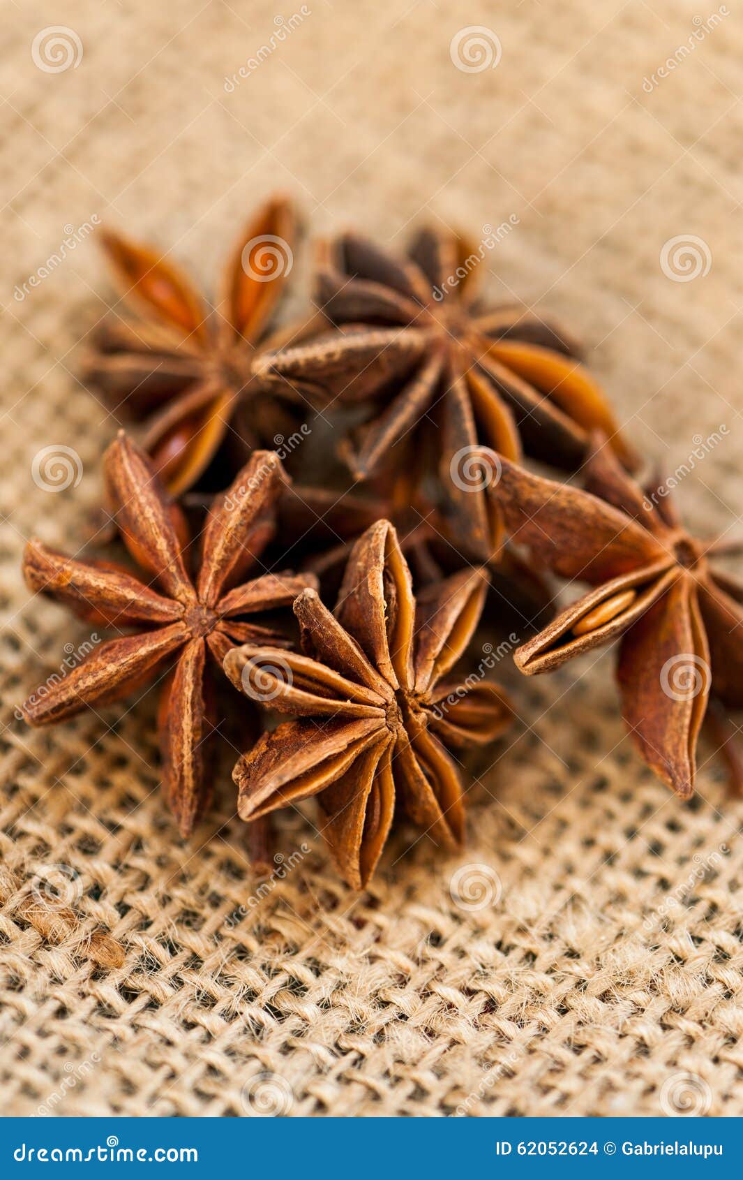Anise seeds stock photo. Image of anise, spices, tincture 62052624
