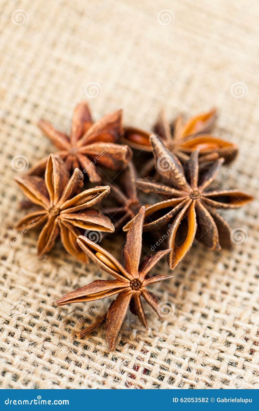 Anise seeds stock photo. Image of anise, life, drink 62053582