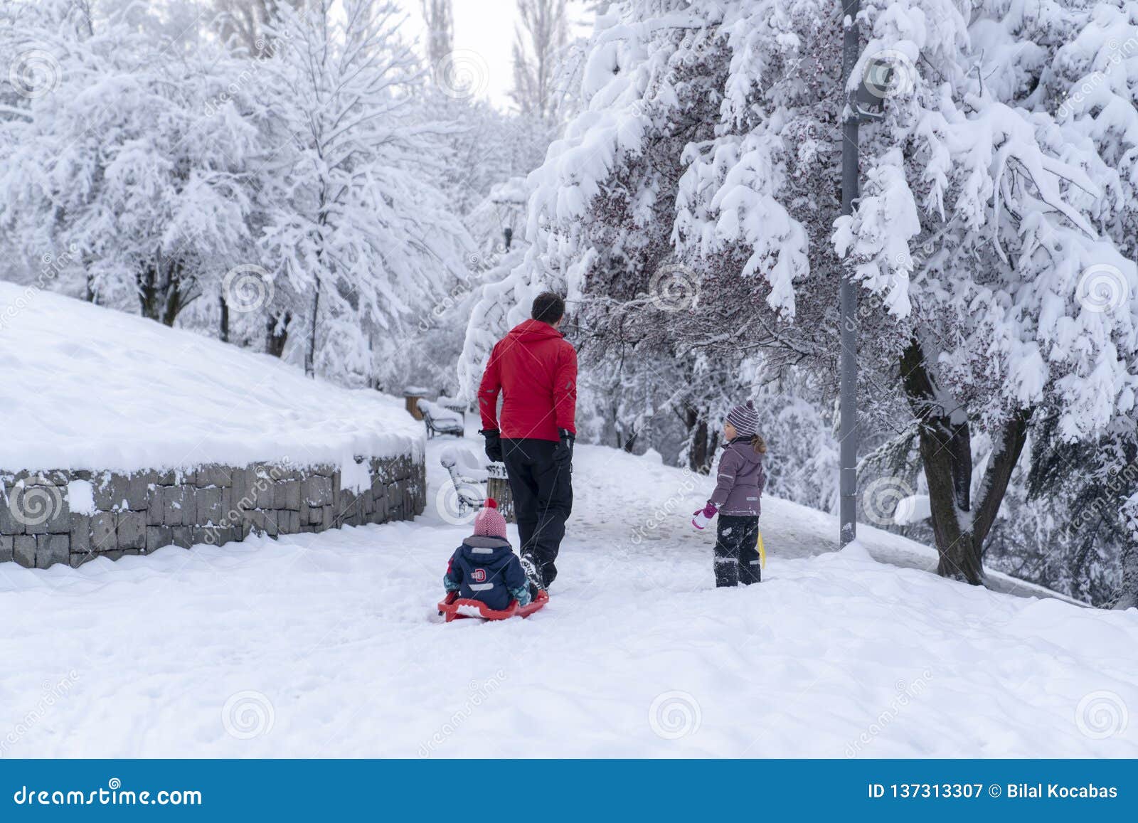 Ankara Turquie 26 Decembre 18 Une Vue Arriere De Pere Sledding Son Petit Bebe Et Une Fille Differente Marchent Avec Eux Dan Photographie Editorial Image Du Gosse Gosses Ankara Turquie 26 Decembre 18 Une Vue Arriere De Pere Sledding Son Petit Bebe Et Une Fille Differente Marchent Avec Eux Dan Photographie Editorial Image Du Gosse Gosses