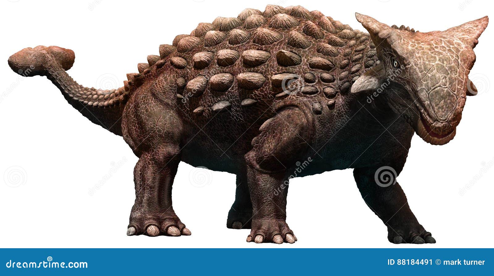 ankylosaurus