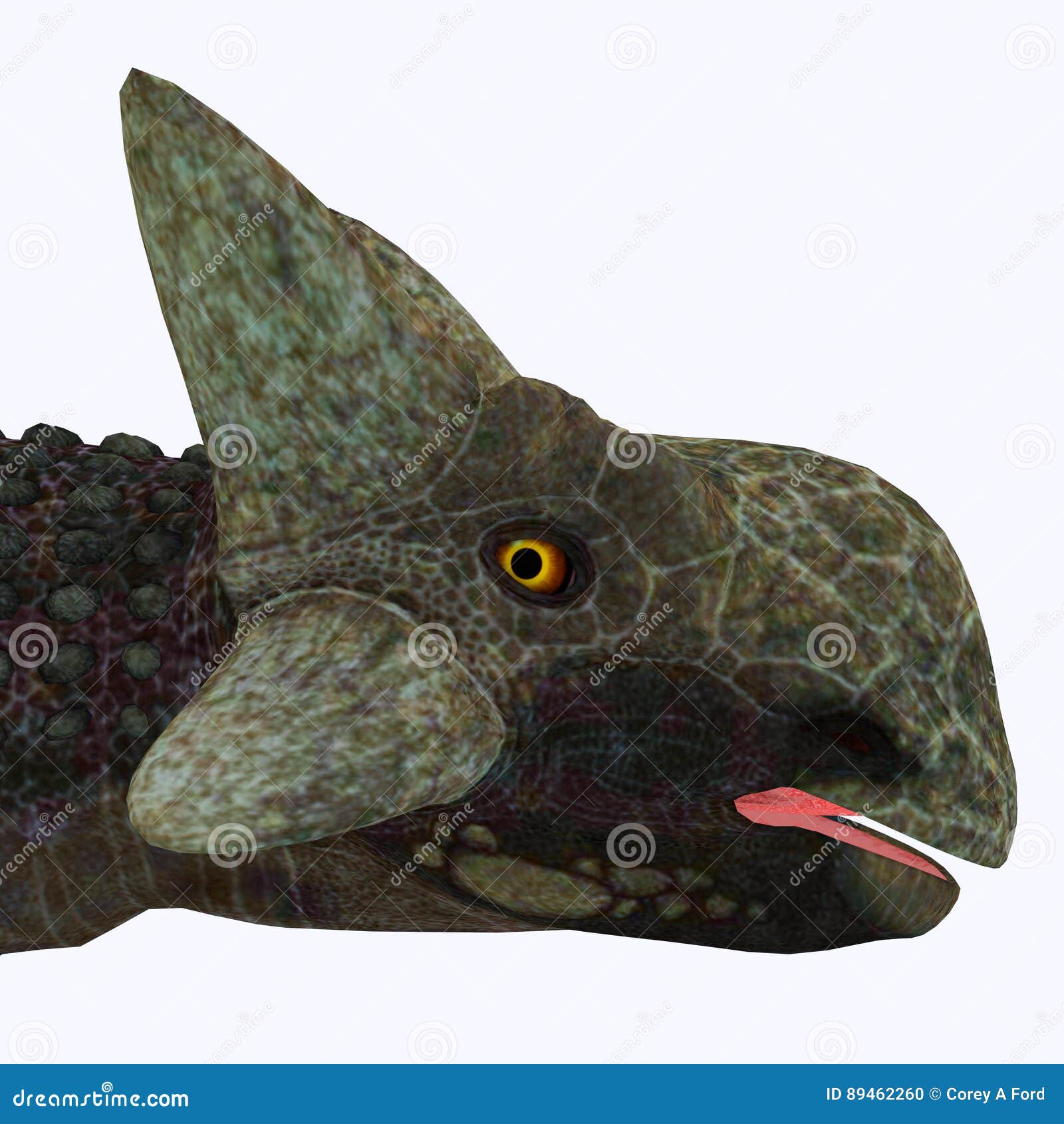 Ankylosaurus Dinosaur Head stock illustration. Illustration of primitive - 89462260