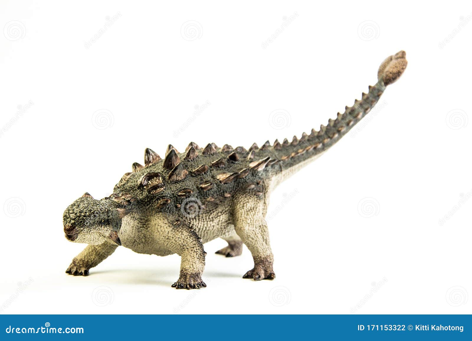 ankylosaurus   ,dinosaur on white background