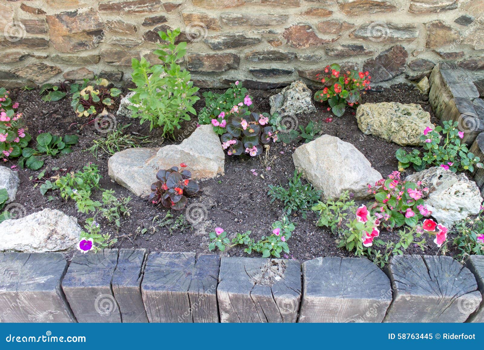 Anlagen Und Felsen in Einem Garten Stockbild Bild von wurzel, ballen