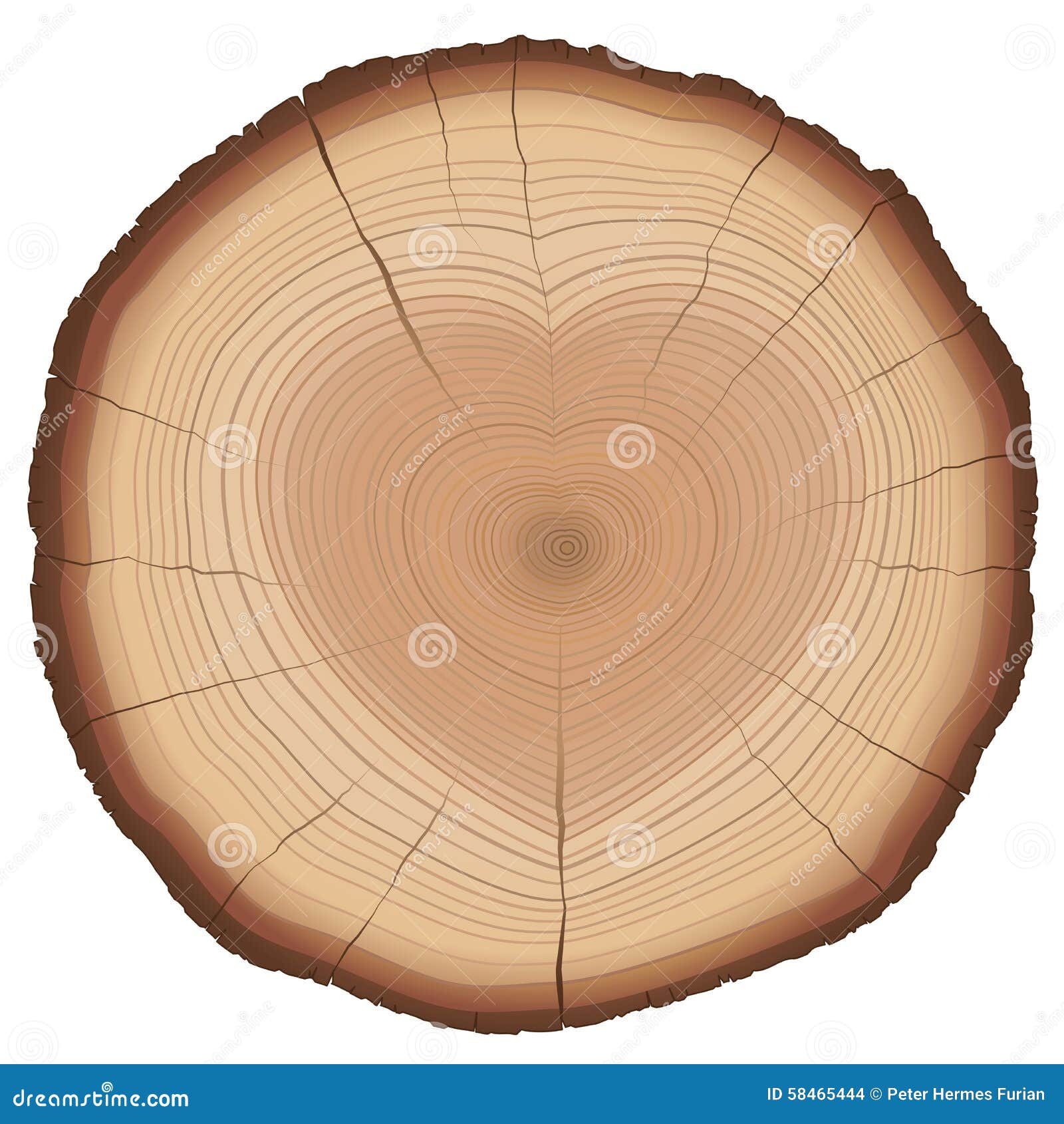 Tree rings could pin down Thera volcano eruption date