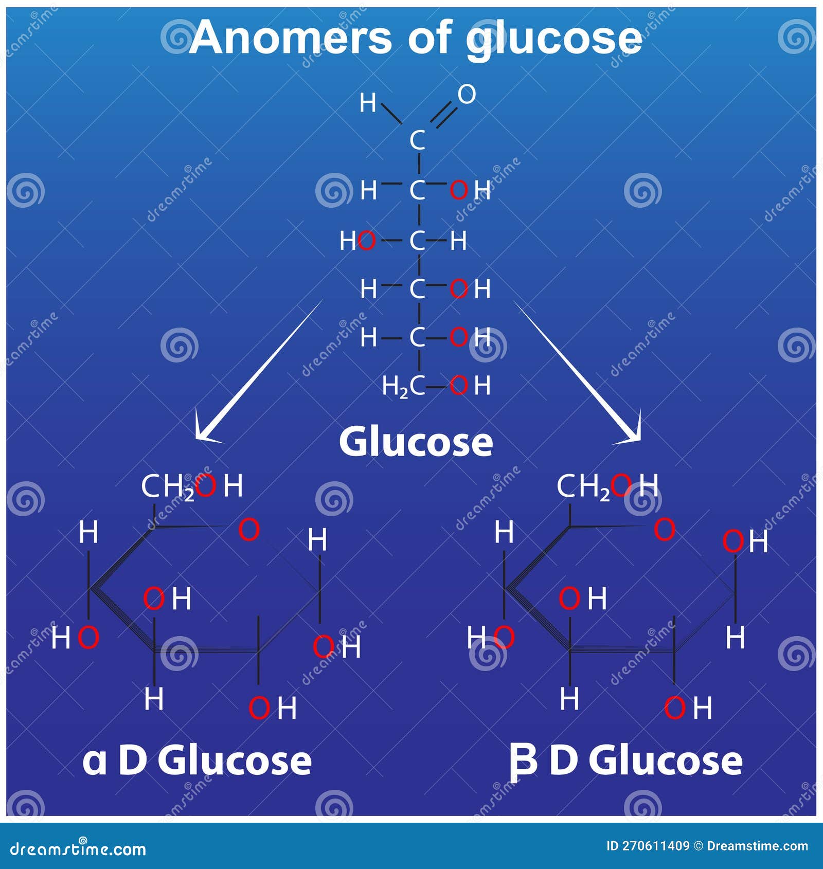 Anomers of Glucose Pyranose Alpha D Glucose Stock Vector - Illustration of  anomers, document: 270611409